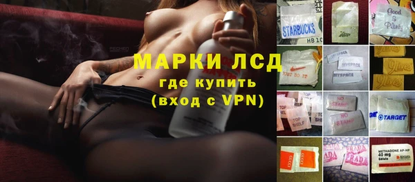 твердый Заводоуковск