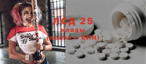 твердый Заводоуковск