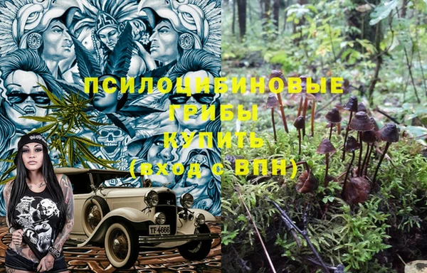 твердый Заводоуковск