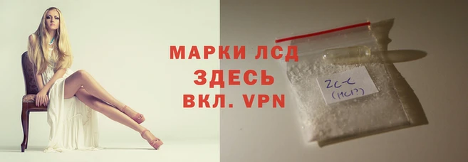 твердый Заводоуковск