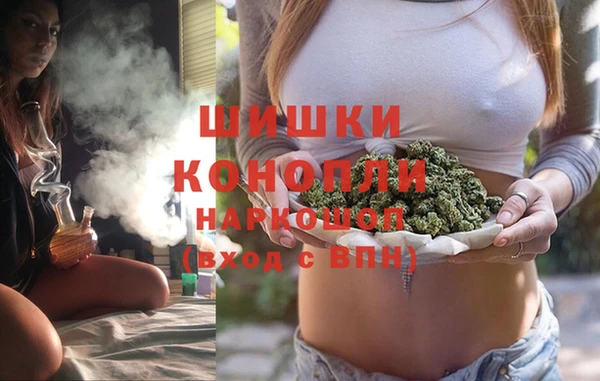 твердый Заводоуковск