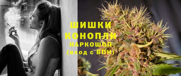 твердый Заводоуковск