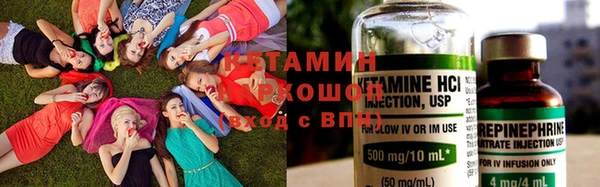 твердый Заводоуковск