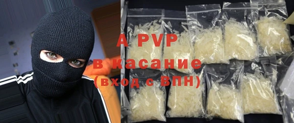 твердый Заводоуковск
