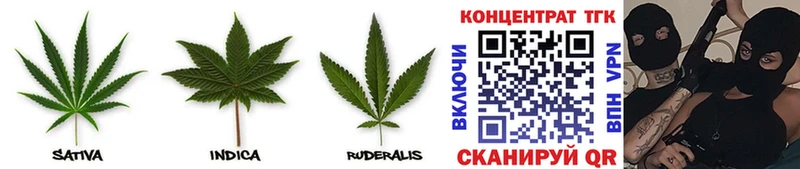KRAKEN   Истра  ТГК вейп 