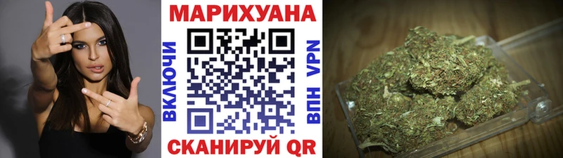 как найти наркотики Истра Каннабис ГИДРОПОН